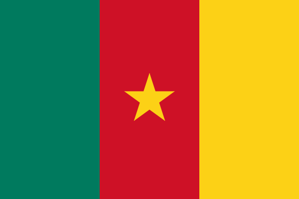 Thủ tục xin visa công tác Cameroon