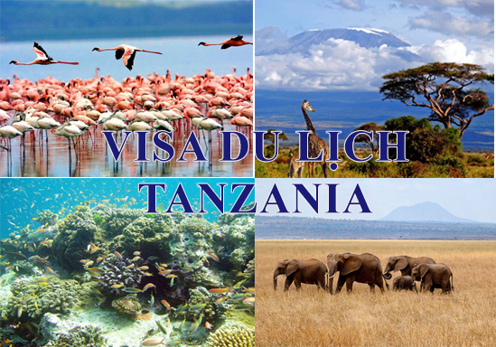 Thủ tục xin visa du lịch Tanzania