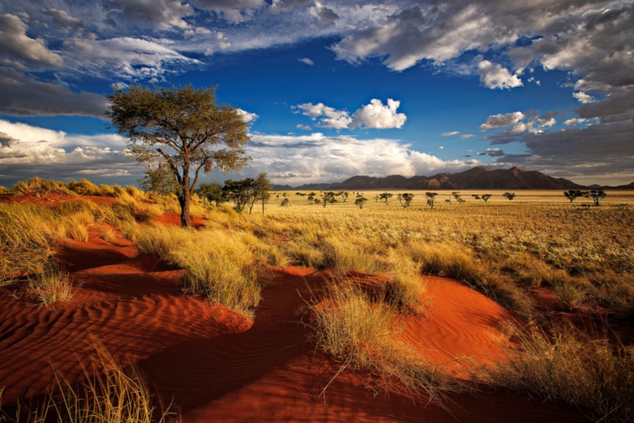 Namibia-landscape