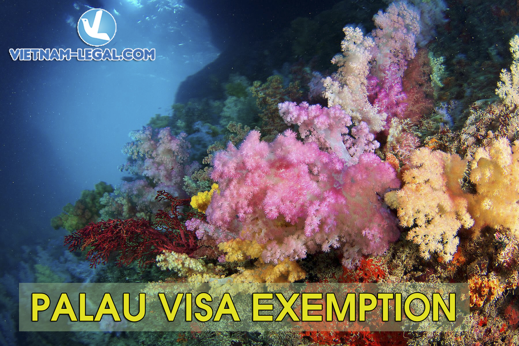 VISA TO PALAU Vietnam Legal Advisor visa-to-palau-vietnam-legal-advisor