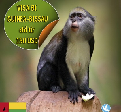 VISA ĐI GUINEA-BISSAU – ĐẤT NƯỚC SỐNG BẰNG HẠT ĐIỀU CHỈ VỚI 150 USD