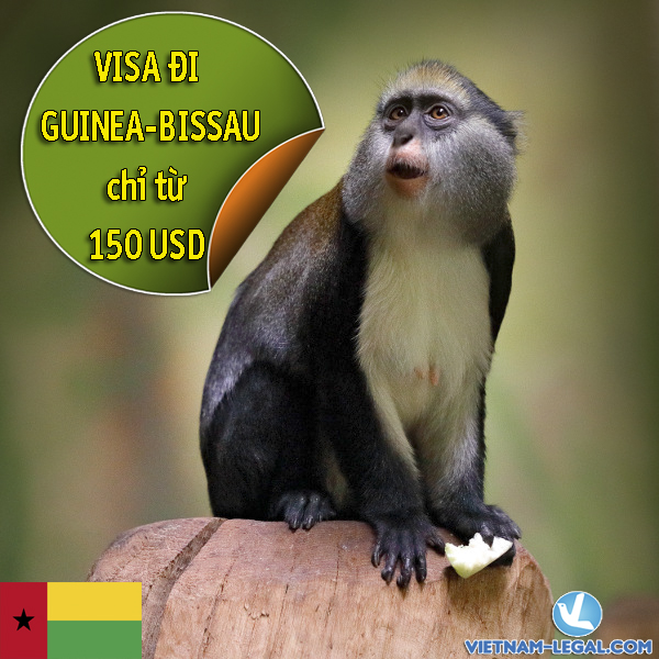 VISA ĐI GUINEA-BISSAU – ĐẤT NƯỚC SỐNG BẰNG HẠT ĐIỀU CHỈ VỚI 150 USD
