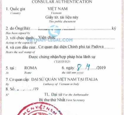 Legalization Result of Italian Document for use in Vietnam, April 2019