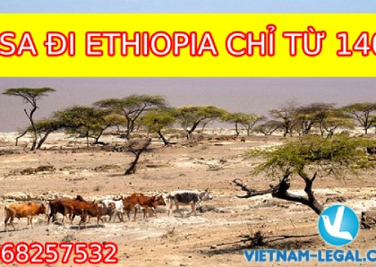 VISA ĐI ETHIOPIA CHỈ TỪ 140$
