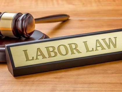 Labor Code No. 45.2019.QH14