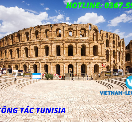 KẾT QUẢ VISA CÔNG TÁC TUNISIA – NHẬP CẢNH THÁNG 1 NĂM 2024